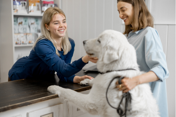 Velmi velký pes na návštěvě u veterináře